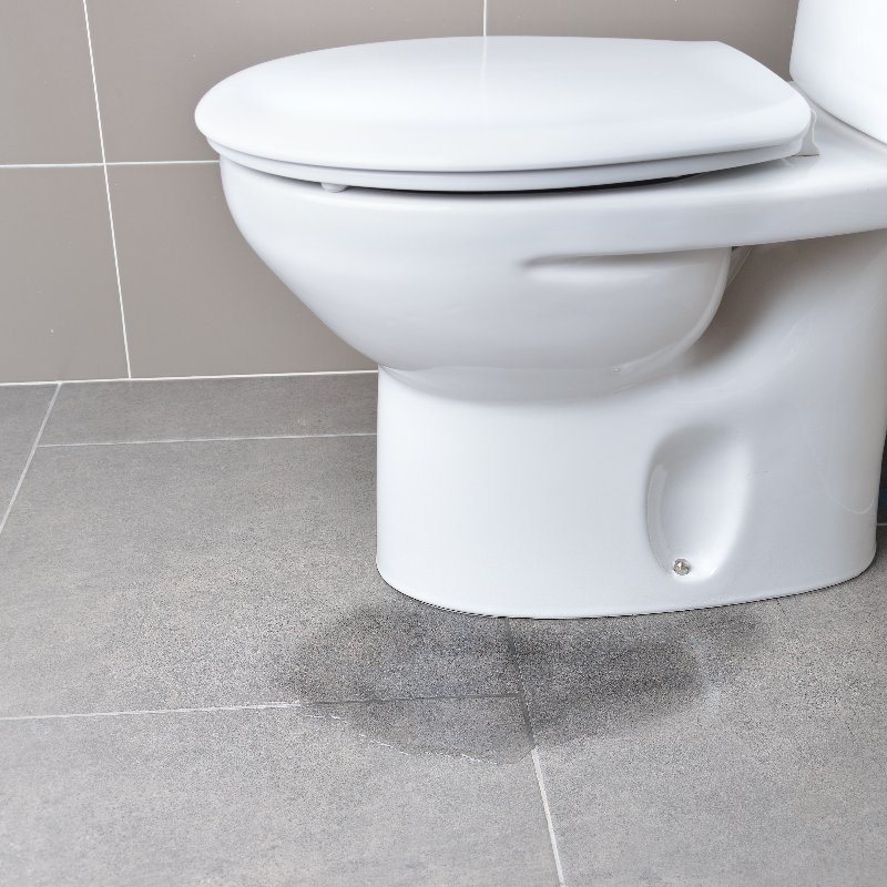 leaking toilet with water around the base