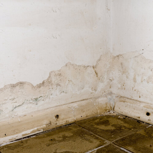 water stains and mold on a wall