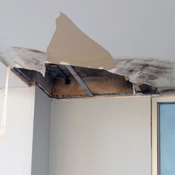 damaged ceiling due to water damage