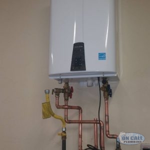 Tankless Water Heater